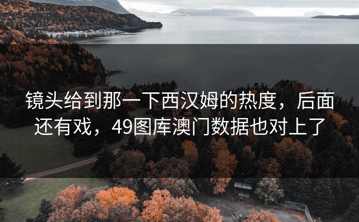 镜头给到那一下西汉姆的热度，后面还有戏，49图库澳门数据也对上了