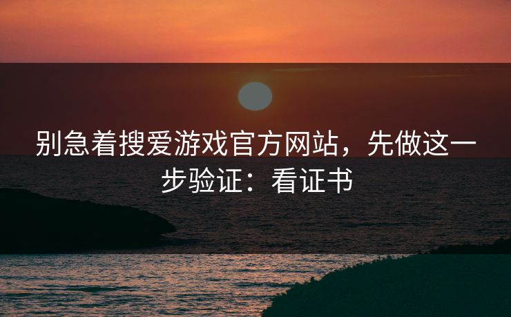别急着搜爱游戏官方网站，先做这一步验证：看证书