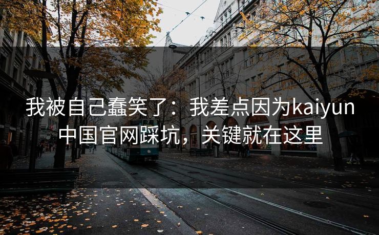 我被自己蠢笑了：我差点因为kaiyun中国官网踩坑，关键就在这里