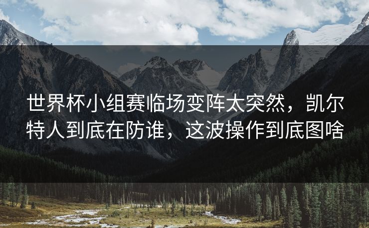 世界杯小组赛临场变阵太突然，凯尔特人到底在防谁，这波操作到底图啥